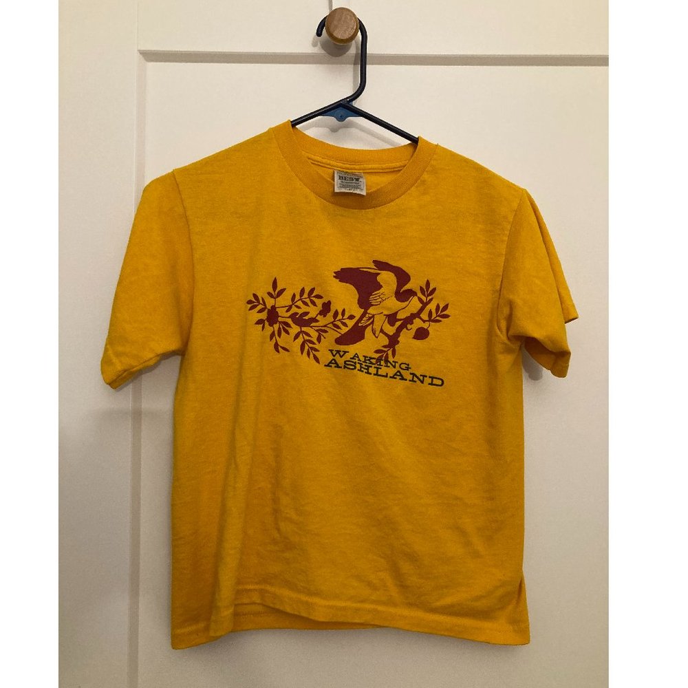 Vintage  Waking Ashland Concert tee unisex size youth 10-12